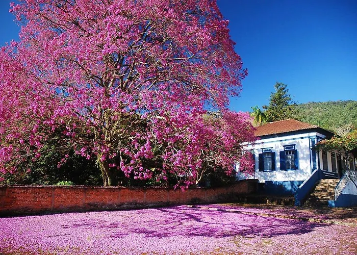 Pousada Da Fazenda São Paulo